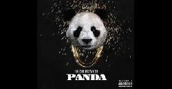 Desiigner- Panda (OFFICIAL SONG)